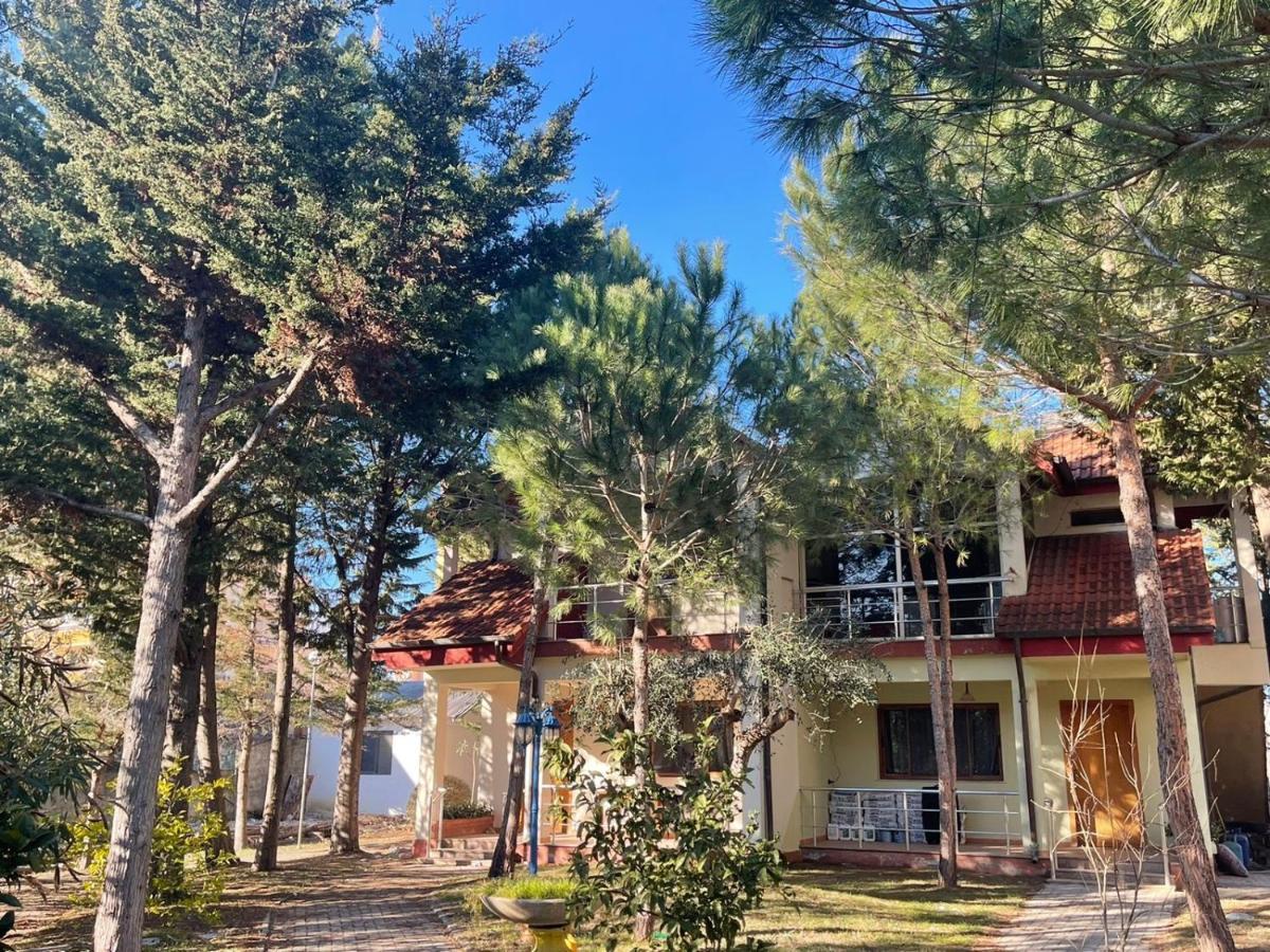 Hotel Garden Villa Ardo Golem  Exterior foto